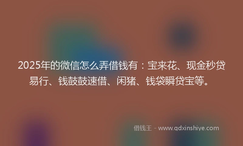 2025年的微信怎么弄借钱有：宝来花、现金秒贷易行、钱鼓鼓速借、闲猪、钱袋瞬贷宝等。