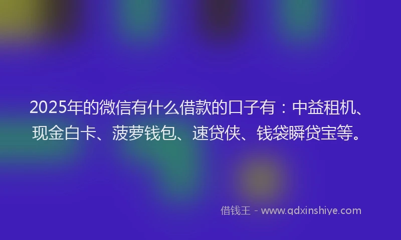 2025年的微信有什么借款的口子有：中益租机、现金白卡、菠萝钱包、速贷侠、钱袋瞬贷宝等。