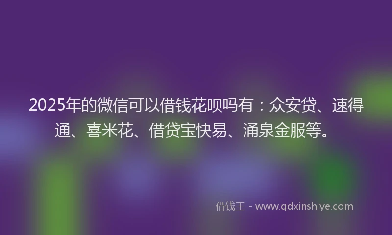 2025年的微信可以借钱花呗吗有：众安贷、速得通、喜米花、借贷宝快易、涌泉金服等。