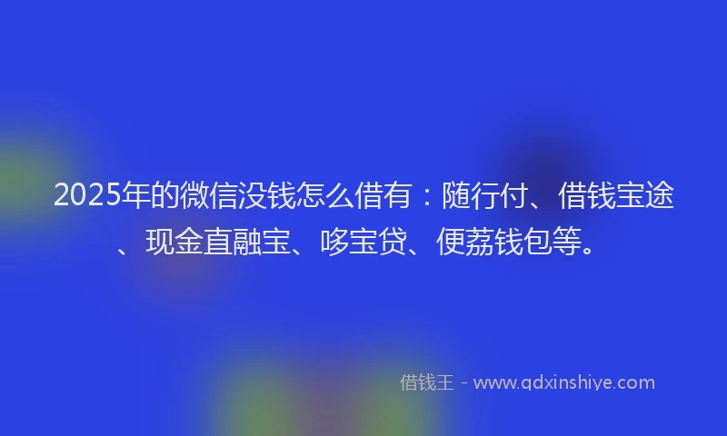 2025年的微信没钱怎么借有：随行付、借钱宝途、现金直融宝、哆宝贷、便荔钱包等。