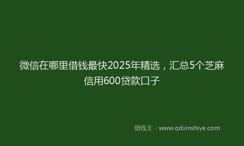 微信在哪里借钱最快2025年精选，汇总5个芝麻信用600贷款口子