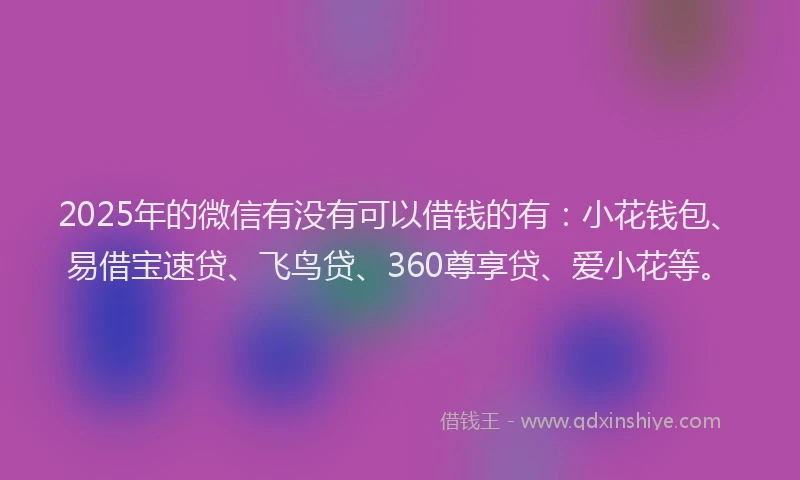 2025年的微信有没有可以借钱的有：小花钱包、易借宝速贷、飞鸟贷、360尊享贷、爱小花等。