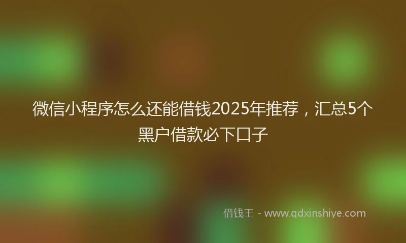 微信小程序怎么还能借钱2025年推荐，汇总5个黑户借款必下口子