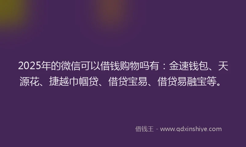 2025年的微信可以借钱购物吗有：金速钱包、天源花、捷越巾帼贷、借贷宝易、借贷易融宝等。
