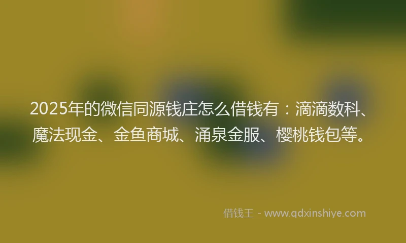 2025年的微信同源钱庄怎么借钱有：滴滴数科、魔法现金、金鱼商城、涌泉金服、樱桃钱包等。