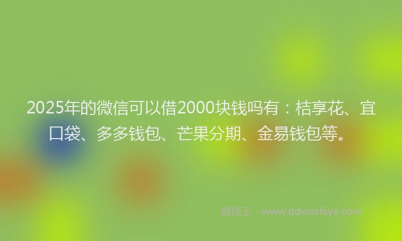 2025年的微信可以借2000块钱吗有：桔享花、宜口袋、多多钱包、芒果分期、金易钱包等。