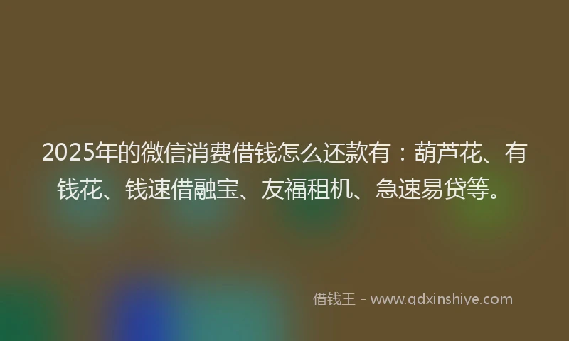 2025年的微信消费借钱怎么还款有：葫芦花、有钱花、钱速借融宝、友福租机、急速易贷等。