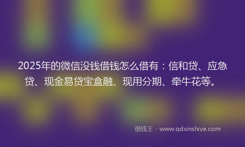 2025年的微信没钱借钱怎么借有：信和贷、应急贷、现金易贷宝盒融、现用分期、牵牛花等。