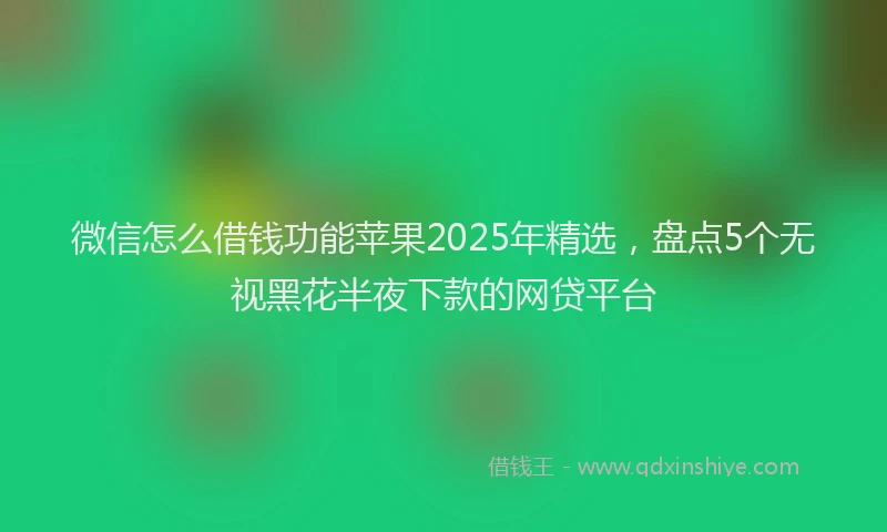 微信怎么借钱功能苹果2025年精选，盘点5个无视黑花半夜下款的网贷平台