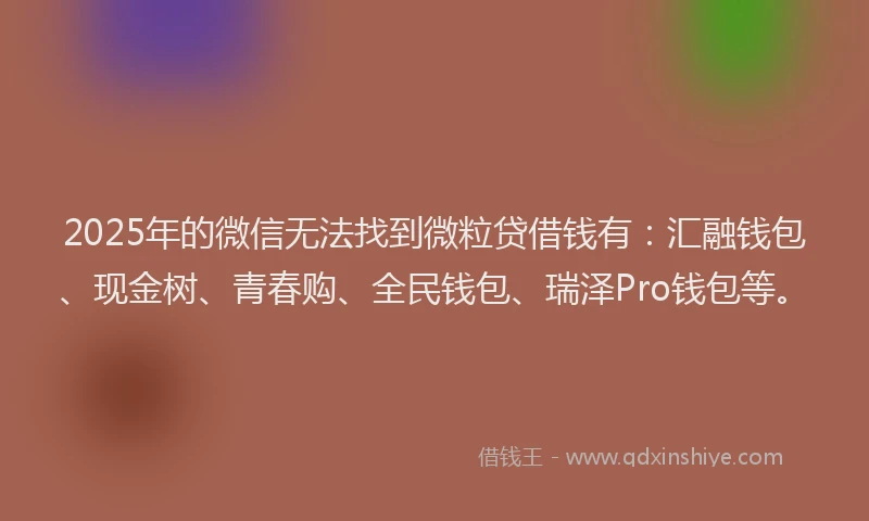 2025年的微信无法找到微粒贷借钱有：汇融钱包、现金树、青春购、全民钱包、瑞泽Pro钱包等。