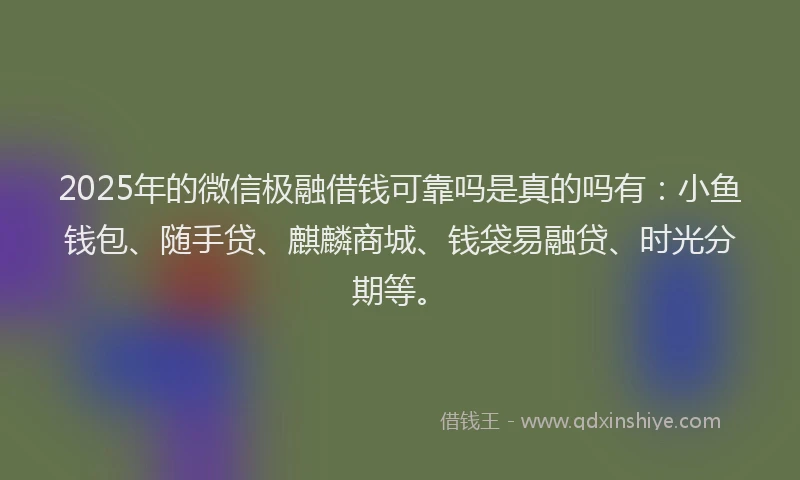 2025年的微信极融借钱可靠吗是真的吗有：小鱼钱包、随手贷、麒麟商城、钱袋易融贷、时光分期等。