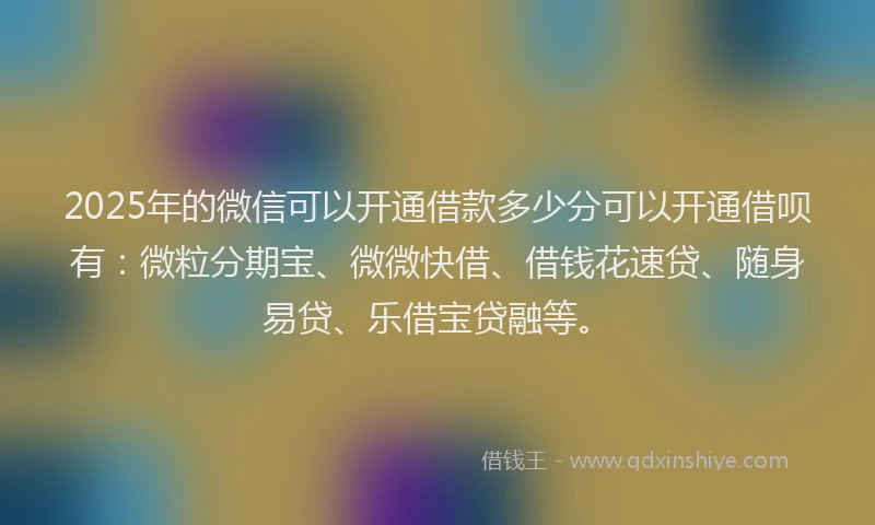 2025年的微信可以开通借款多少分可以开通借呗有：微粒分期宝、微微快借、借钱花速贷、随身易贷、乐借宝贷融等。
