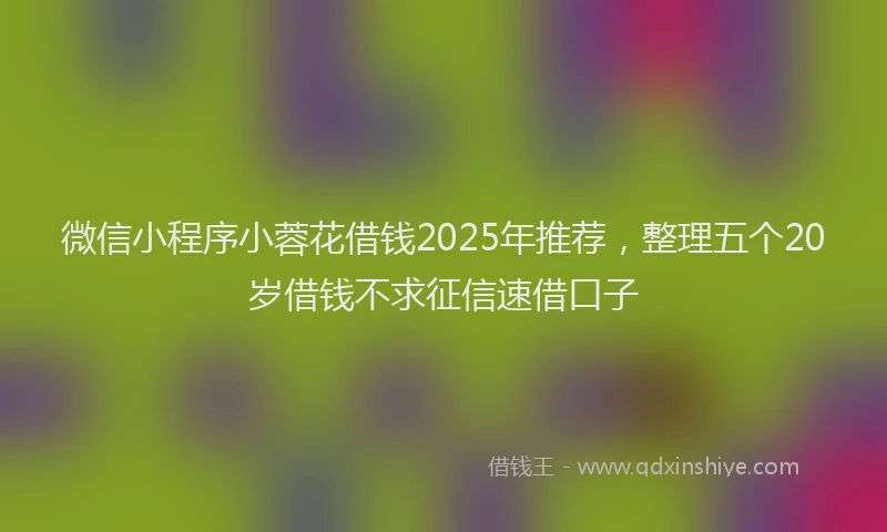 微信小程序小蓉花借钱2025年推荐，整理五个20岁借钱不求征信速借口子