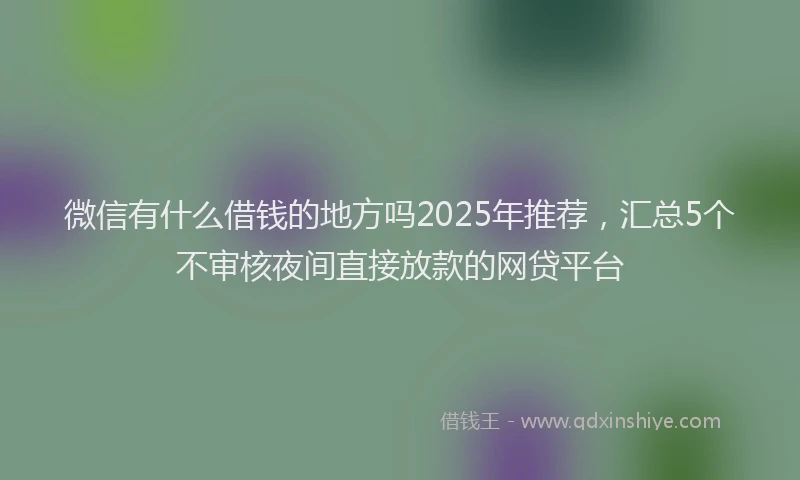 微信有什么借钱的地方吗2025年推荐，汇总5个不审核夜间直接放款的网贷平台