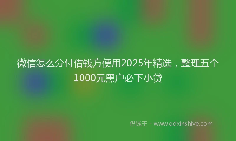 微信怎么分付借钱方便用2025年精选，整理五个1000元黑户必下小贷