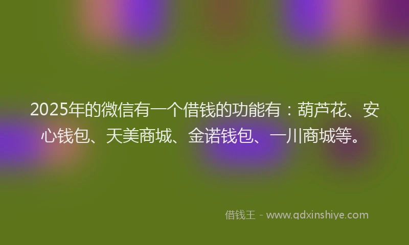 2025年的微信有一个借钱的功能有：葫芦花、安心钱包、天美商城、金诺钱包、一川商城等。