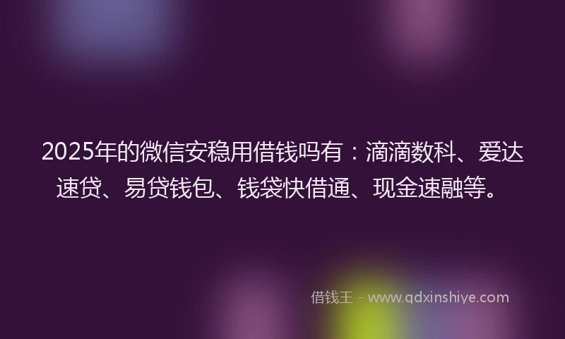 2025年的微信安稳用借钱吗有：滴滴数科、爱达速贷、易贷钱包、钱袋快借通、现金速融等。