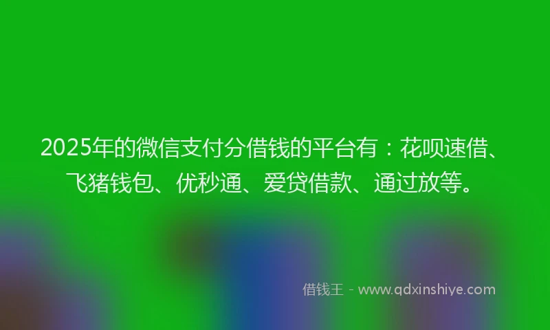2025年的微信支付分借钱的平台有：花呗速借、飞猪钱包、优秒通、爱贷借款、通过放等。