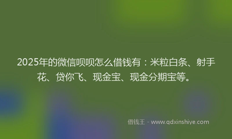 2025年的微信呗呗怎么借钱有：米粒白条、射手花、贷你飞、现金宝、现金分期宝等。
