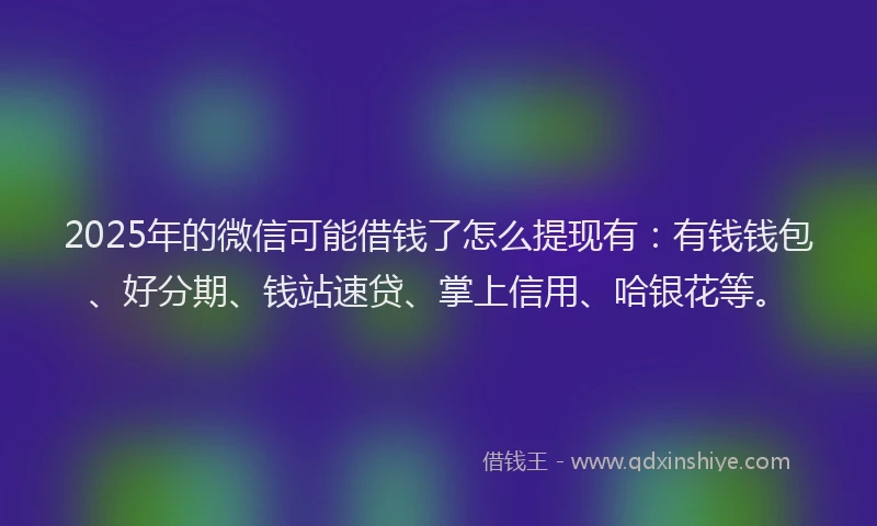 2025年的微信可能借钱了怎么提现有：有钱钱包、好分期、钱站速贷、掌上信用、哈银花等。
