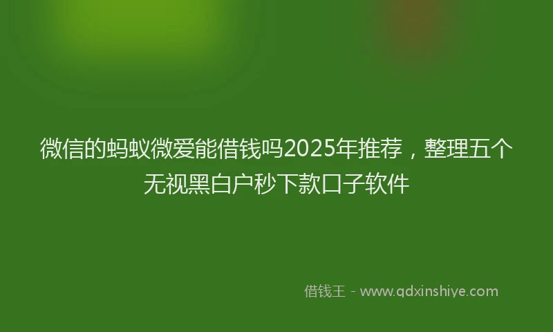微信的蚂蚁微爱能借钱吗2025年推荐，整理五个无视黑白户秒下款口子软件