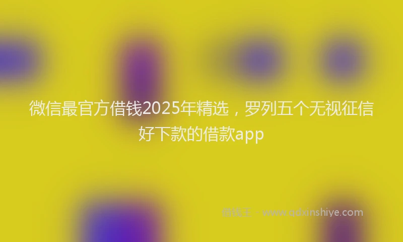 微信最官方借钱2025年精选，罗列五个无视征信好下款的借款app