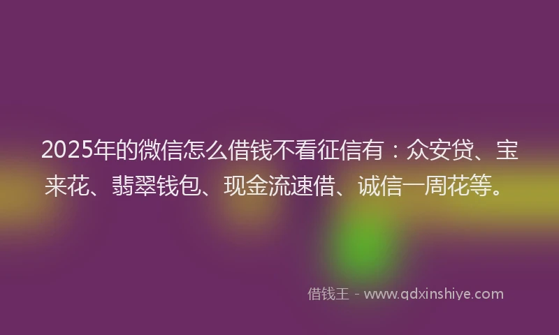 2025年的微信怎么借钱不看征信有：众安贷、宝来花、翡翠钱包、现金流速借、诚信一周花等。