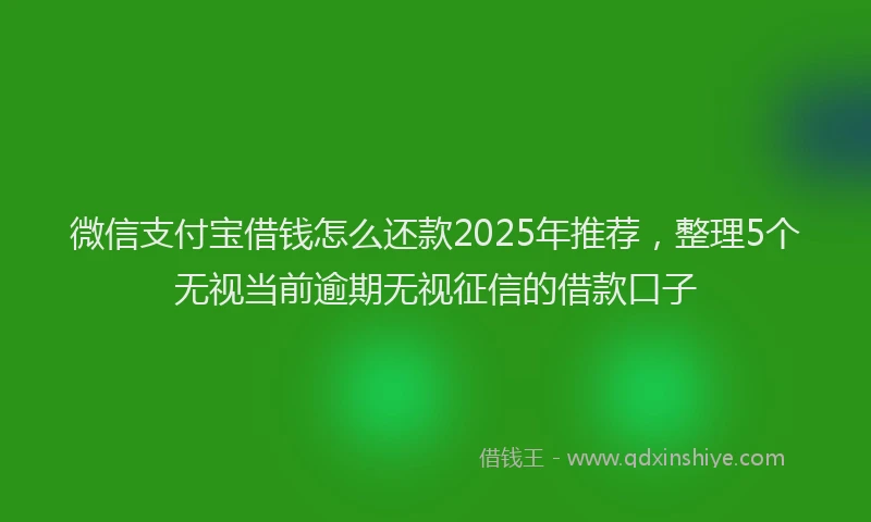 微信支付宝借钱怎么还款2025年推荐，整理5个无视当前逾期无视征信的借款口子