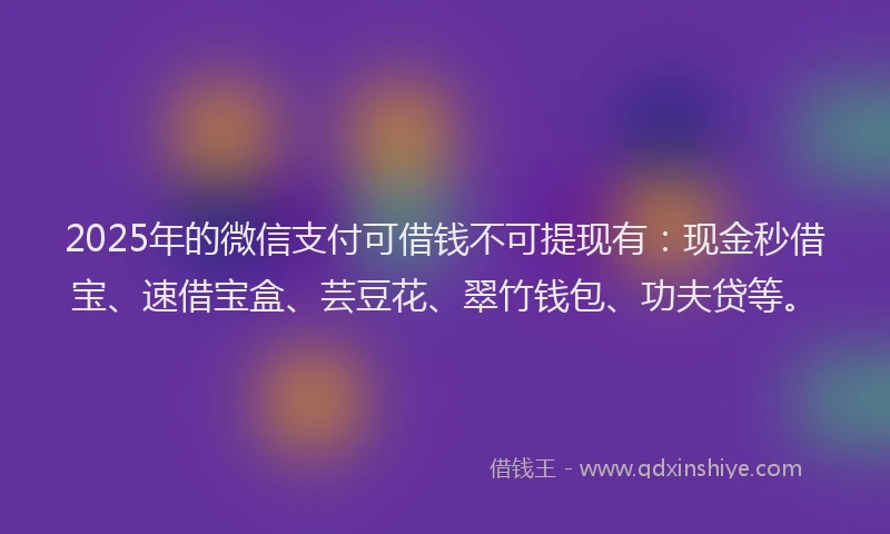2025年的微信支付可借钱不可提现有：现金秒借宝、速借宝盒、芸豆花、翠竹钱包、功夫贷等。