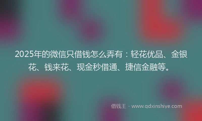 2025年的微信只借钱怎么弄有：轻花优品、金银花、钱来花、现金秒借通、捷信金融等。