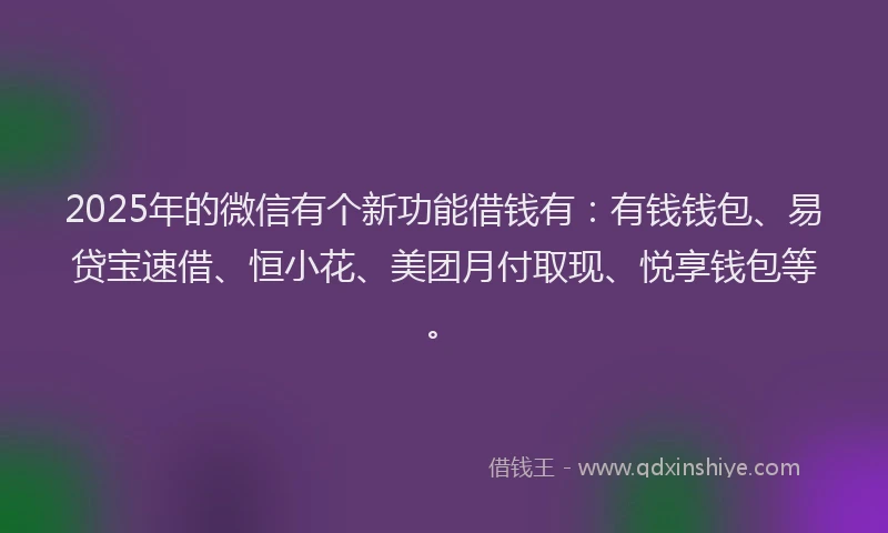 2025年的微信有个新功能借钱有：有钱钱包、易贷宝速借、恒小花、美团月付取现、悦享钱包等。