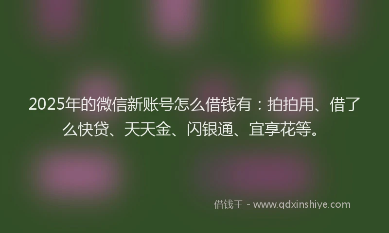 2025年的微信新账号怎么借钱有：拍拍用、借了么快贷、天天金、闪银通、宜享花等。