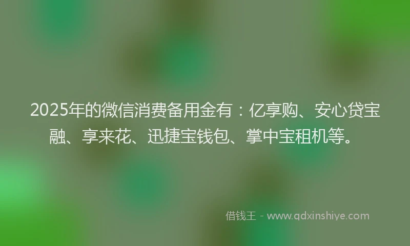 2025年的微信消费备用金有：亿享购、安心贷宝融、享来花、迅捷宝钱包、掌中宝租机等。