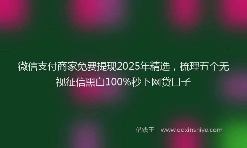微信支付商家免费提现2025年精选，梳理五个无视征信黑白100%秒下网贷口子