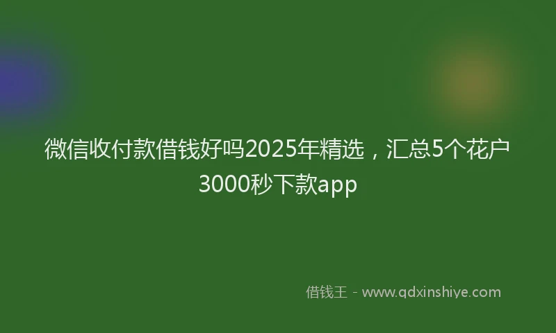 微信收付款借钱好吗2025年精选，汇总5个花户3000秒下款app