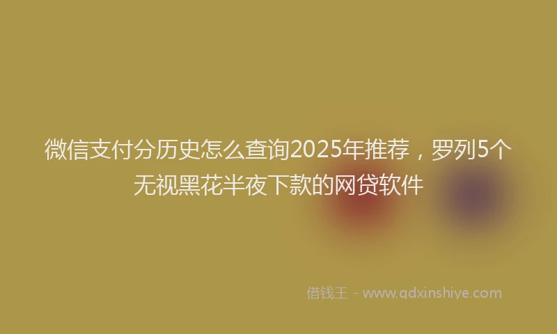 微信支付分历史怎么查询2025年推荐，罗列5个无视黑花半夜下款的网贷软件