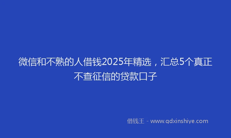 微信和不熟的人借钱2025年精选，汇总5个真正不查征信的贷款口子