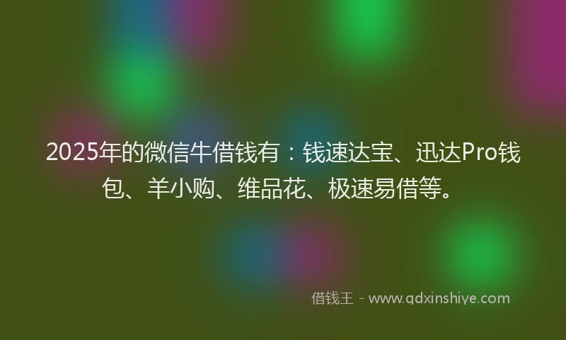 2025年的微信牛借钱有：钱速达宝、迅达Pro钱包、羊小购、维品花、极速易借等。
