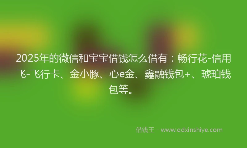 2025年的微信和宝宝借钱怎么借有：畅行花-信用飞-飞行卡、金小豚、心e金、鑫融钱包+、琥珀钱包等。