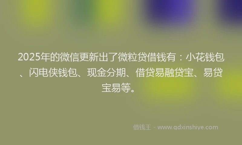 2025年的微信更新出了微粒贷借钱有：小花钱包、闪电侠钱包、现金分期、借贷易融贷宝、易贷宝易等。