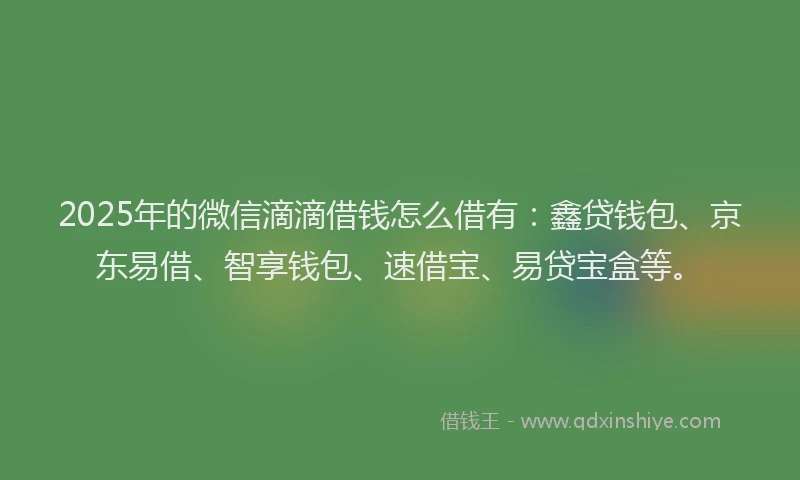 2025年的微信滴滴借钱怎么借有：鑫贷钱包、京东易借、智享钱包、速借宝、易贷宝盒等。