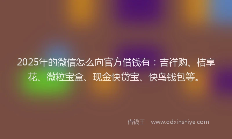 2025年的微信怎么向官方借钱有：吉祥购、桔享花、微粒宝盒、现金快贷宝、快鸟钱包等。