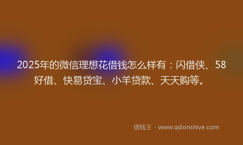 2025年的微信理想花借钱怎么样有：闪借侠、58好借、快易贷宝、小羊贷款、天天购等。