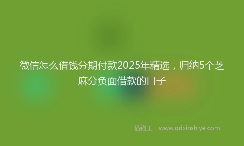 微信怎么借钱分期付款2025年精选，归纳5个芝麻分负面借款的口子