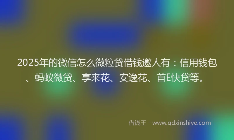 2025年的微信怎么微粒贷借钱邀人有：信用钱包、蚂蚁微贷、享来花、安逸花、首E快贷等。