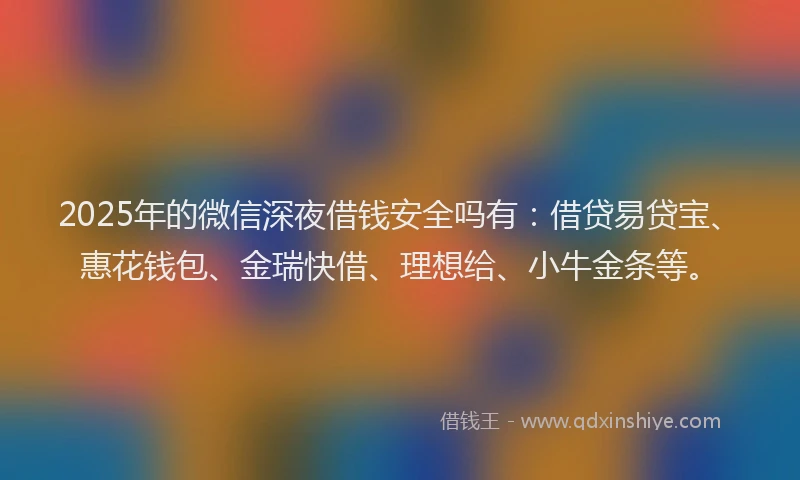 2025年的微信深夜借钱安全吗有：借贷易贷宝、惠花钱包、金瑞快借、理想给、小牛金条等。