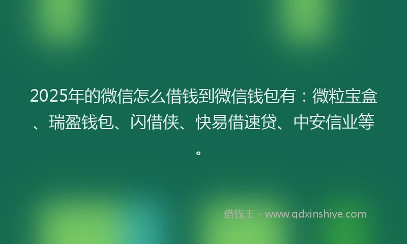2025年的微信怎么借钱到微信钱包有：微粒宝盒、瑞盈钱包、闪借侠、快易借速贷、中安信业等。