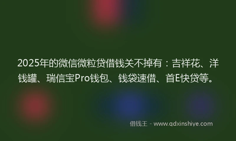 2025年的微信微粒贷借钱关不掉有：吉祥花、洋钱罐、瑞信宝Pro钱包、钱袋速借、首E快贷等。