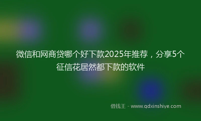 微信和网商贷哪个好下款2025年推荐，分享5个征信花居然都下款的软件