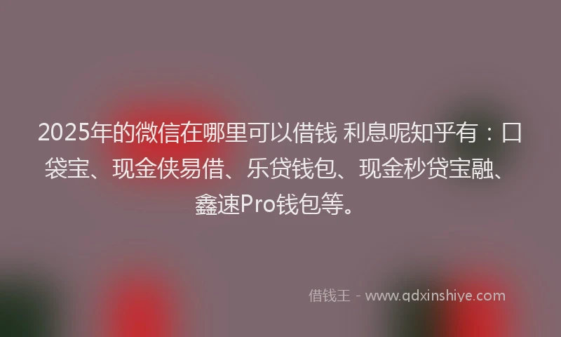 2025年的微信在哪里可以借钱 利息呢知乎有：口袋宝、现金侠易借、乐贷钱包、现金秒贷宝融、鑫速Pro钱包等。